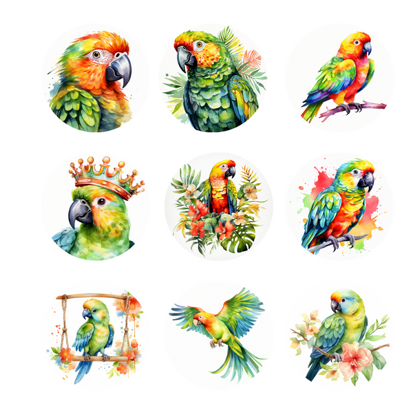 Parrot Clipart - Digital Download